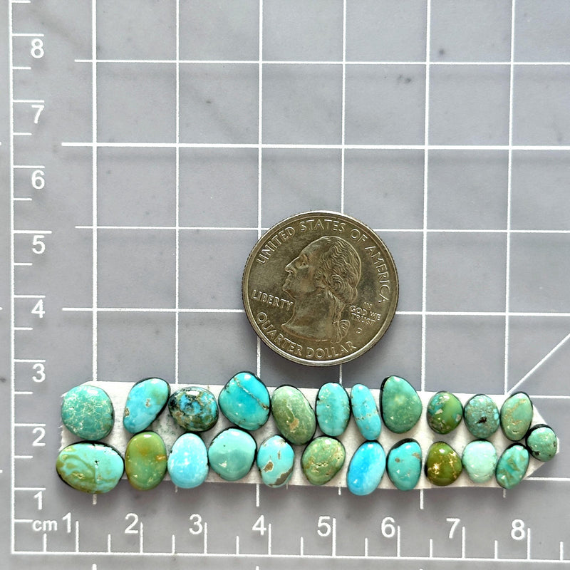 Small Mint Green Mixed Lone Mountain Turquoise, Set of 23 Dimensions