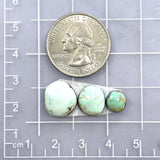 Small Mixed Freeform Carico Lake Turquoise, Set of 3 Dimensions