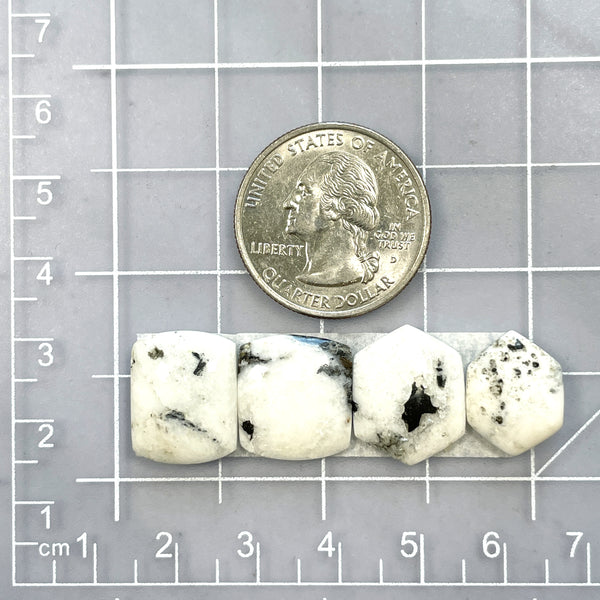 Small White Mixed White Buffalo Dolomite, Set of 4 Dimensions