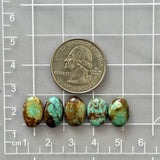 Small Mixed Oval Tyrone Turquoise, Set of 5 Dimensions