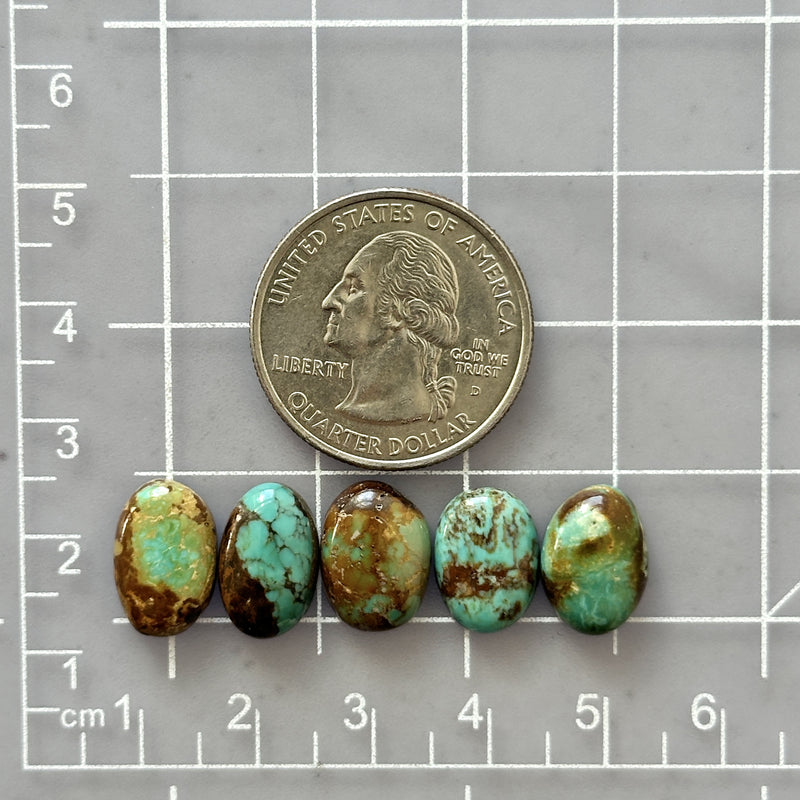 Small Mixed Oval Tyrone Turquoise, Set of 5 Dimensions