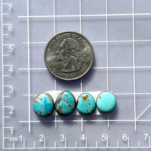 Small Sky Blue Freeform Tyrone Turquoise, Set of 4 Dimensions