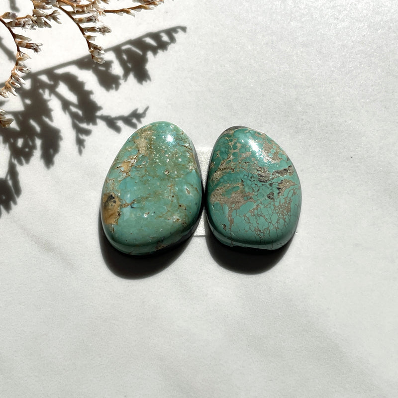 Medium Mixed Freeform Carico Lake Turquoise, Set of 2 Background