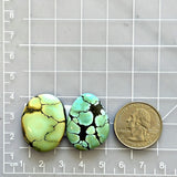 Large Mixed Freeform Treasure Mountain Turquoise, Set of 2 Dimensions