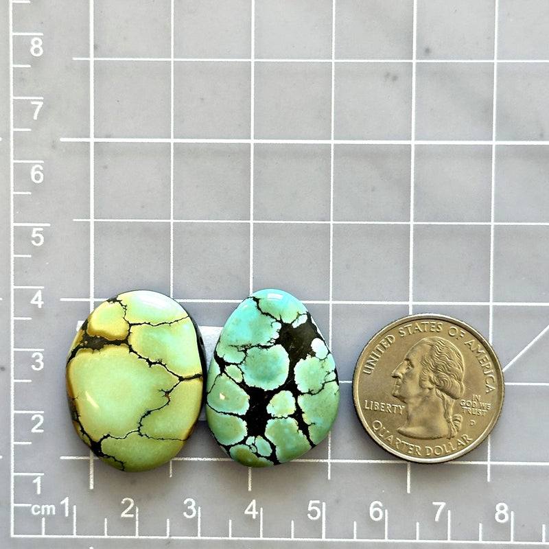 Large Mixed Freeform Treasure Mountain Turquoise, Set of 2 Dimensions