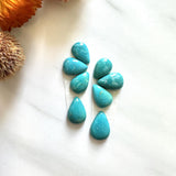 Small Sky Blue Teardrop Fox Turquoise, Set of 8 Background