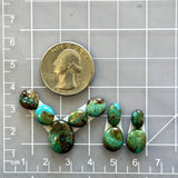 Small Sea Green Mixed Number 8 Turquoise, Set of 9 Dimensions