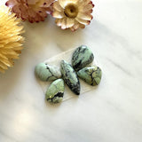 Small Mint Green Mixed Crescent Lake Variscite, Set of 5 Background
