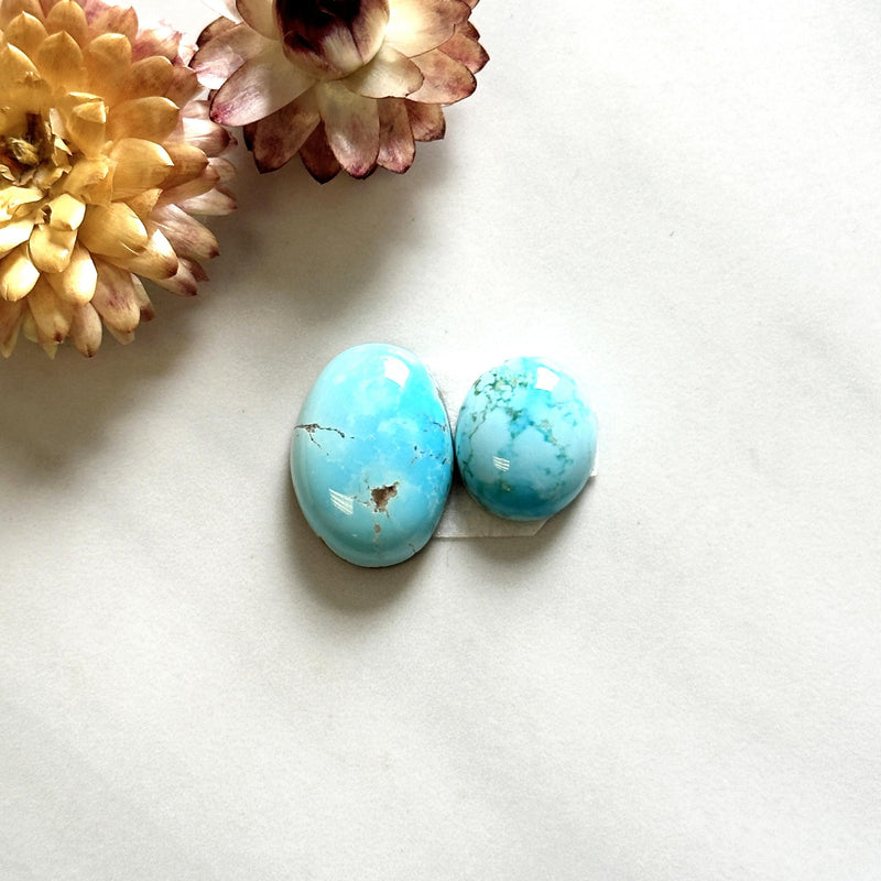 Medium Sky Blue Mixed Kingman Turquoise, Set of 2 Background