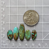 Small Mixed Mixed Tyrone Turquoise, Set of 5 Dimensions