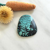 Large Sky Blue Freeform Yungai Turquoise Background