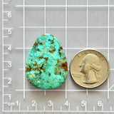 Sea Green Fox Turquoise Top Drilled Cab Bead