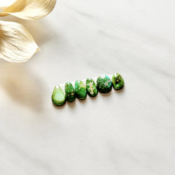 Small Lime Green Freeform Sonoran Gold Turquoise, Set of 6 Background
