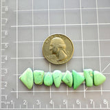 Small Mint Green Mixed Crescent Lake Variscite, Set of 8 Dimensions