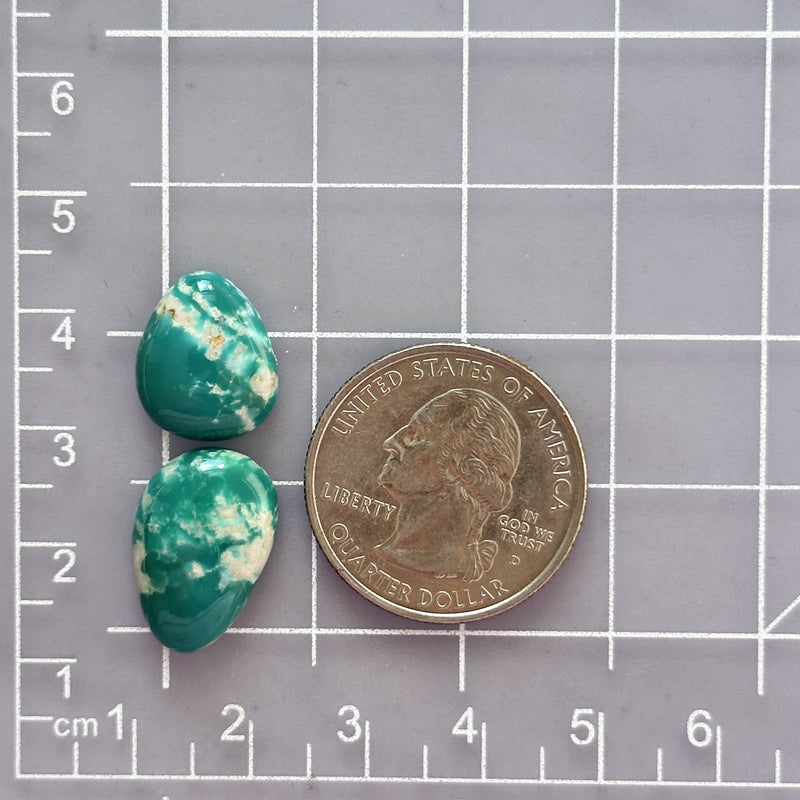 Small Ocean Blue Freeform Fox Turquoise, Set of 2 Dimensions