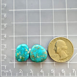 Large Ocean Blue Freeform Fox Turquoise, Set of 2 Dimensions