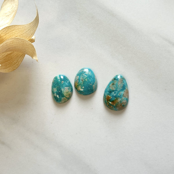 Small Sky Blue Mixed Fox Turquoise, Set of 3 Background