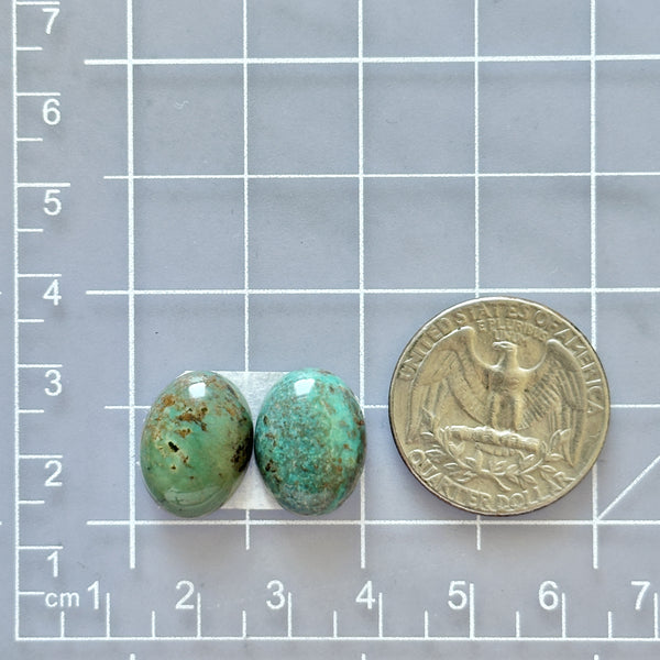Small Mint Green Oval Crescent Lake Variscite, Set of 2 Dimensions