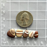 Small Red Mixed White Buffalo Dolomite, Set of 5 Dimensions