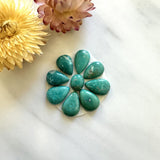Small Bamboo Green Mixed Broken Arrow Variscite, Set of 9 Background
