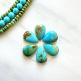 Small Mixed Teardrop Royston Turquoise, Set of 6 Background