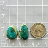 Medium Deep Green Mixed Fox Turquoise, Set of 2 Dimensions