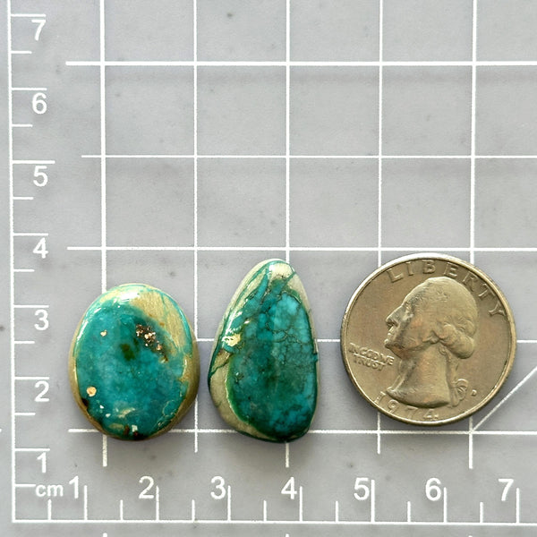 Medium Deep Green Mixed Fox Turquoise, Set of 2 Dimensions