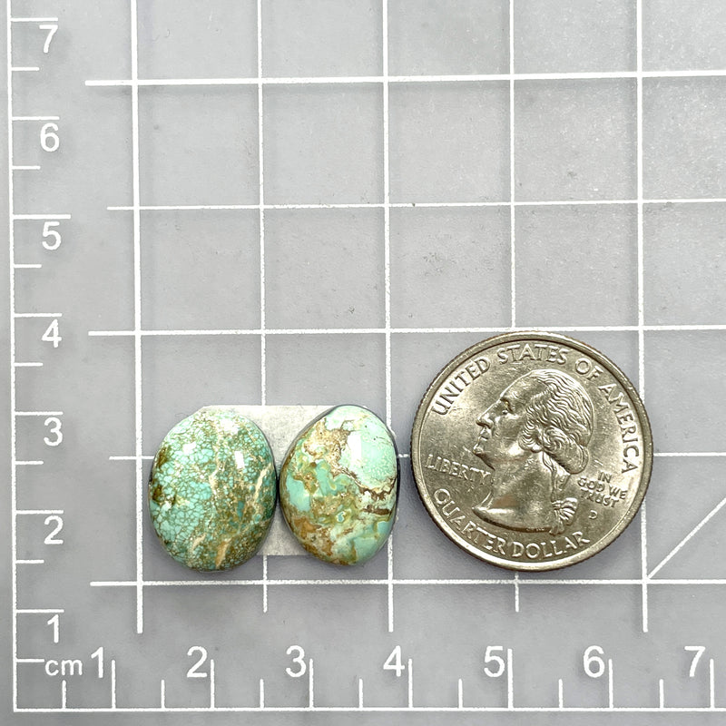 Medium Faint Green Mixed Carico Lake Turquoise, Set of 2 Dimensions