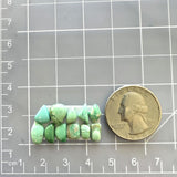 Small Mint Green Mixed Crescent Lake Variscite, Set of 11 Dimensions