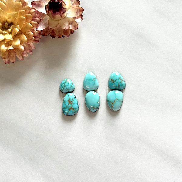 Small Sky Blue Mixed Lone Mountain Turquoise, Set of 6 Background
