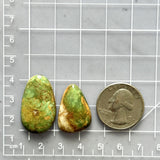 Large Sea Green Freeform Royston Turquoise, Set of 2 Dimensions