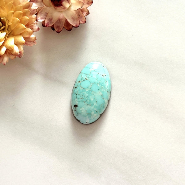 Large Sky Blue Oval Lone Mountain Turquoise Background