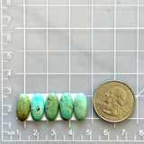 Small Mixed Oval Tyrone Turquoise, Set of 5 Dimensions
