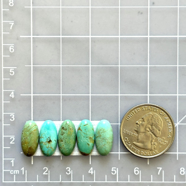 Small Mixed Oval Tyrone Turquoise, Set of 5 Dimensions