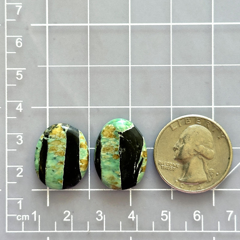Medium Sea Green Oval Crescent Lake Variscite, Set of 2 Dimensions