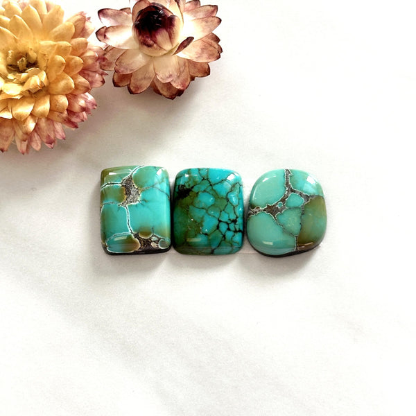 Medium Mint Green Mixed Treasure Mountain Turquoise, Set of 3 Background