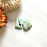 Small Faint Green Mixed Crescent Lake Variscite, Set of 2 Background