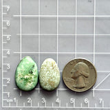 Large Faint Green Teardrop Mixed Turquoise, Set of 2 Dimensions