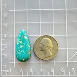 Large Ocean Blue Teardrop Fox Turquoise Dimensions