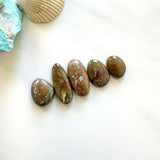 Small Sky Blue Mixed Royston Turquoise, Set of 5 Background
