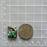 Medium Bamboo Green Square Namtso Lake Turquoise Dimensions