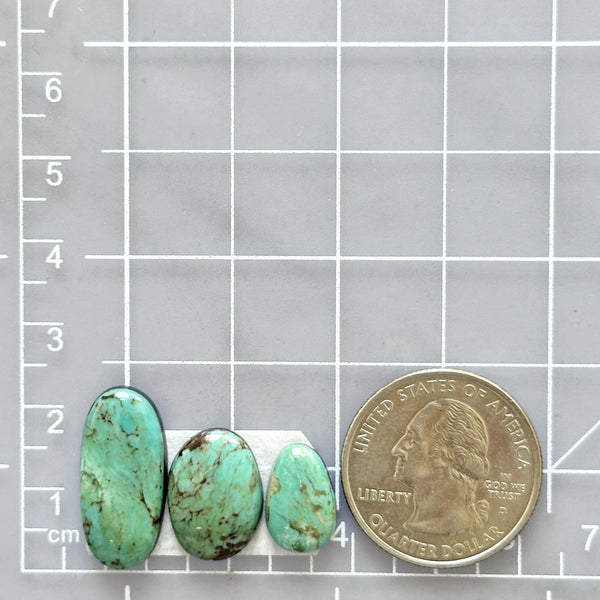 Medium Mint Green Mixed Crescent Lake Variscite, Set of 3 Dimensions