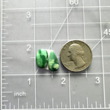 Small Deep Green Mixed Crescent Lake Variscite, Set of 2 Dimensions