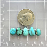 Small Sky Blue Mixed Lone Mountain Turquoise, Set of 5 Dimensions