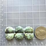 Medium Mint Green Half Moon Crescent Lake Variscite, Set of 6 Dimensions