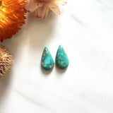 Small Sea Green Teardrop Fox Turquoise, Set of 2 Background