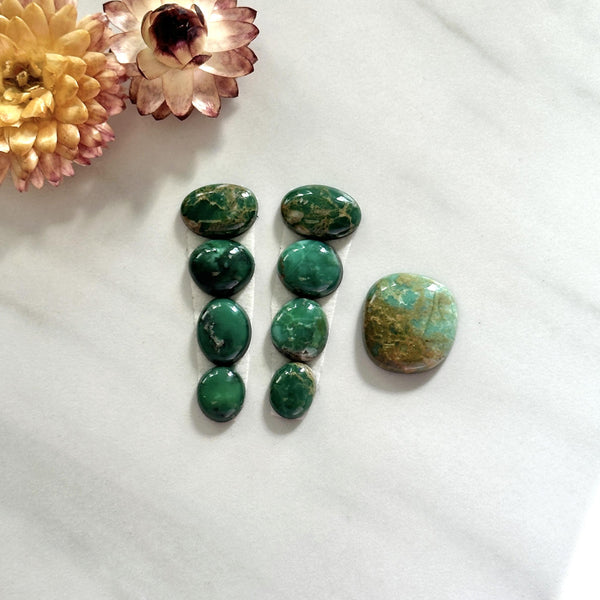 Small Deep Green Mixed Broken Arrow Variscite, Set of 9 Background