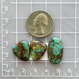 Medium Sky Blue Mixed Number 8 Turquoise, Set of 3 Dimensions
