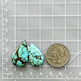 Large Sky Blue Teardrop Wild Horse Turquoise, Set of 2 Dimensions