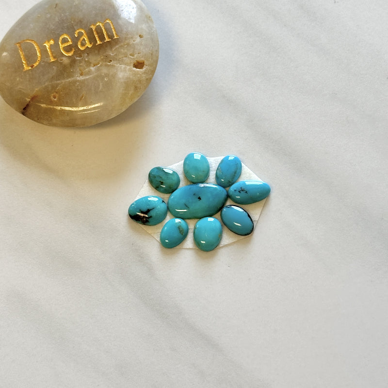 Small Sky Blue Freeform Mixed Turquoise, Set of 9 - Turquoise Moose